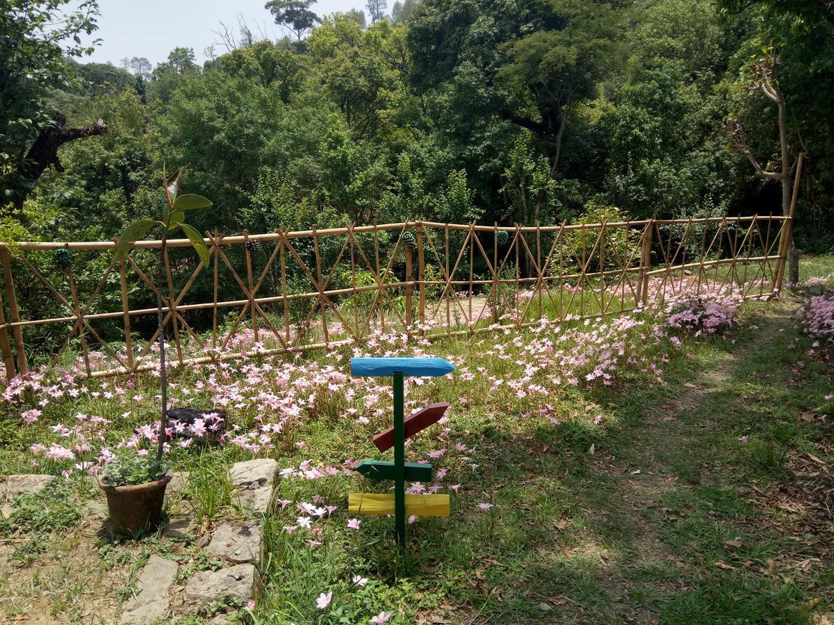 Hots Nainital Hostel Patwa Dunga Bagian luar foto