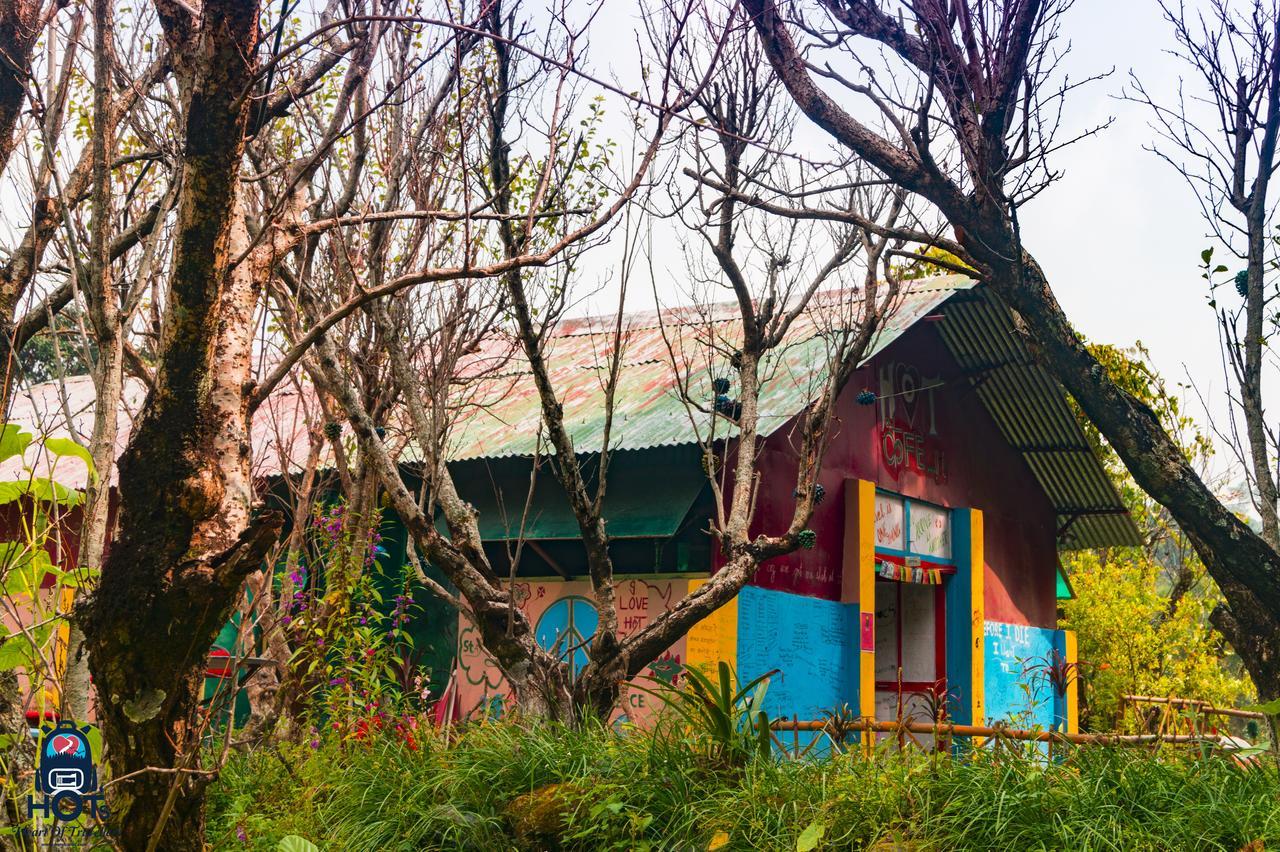 Hots Nainital Hostel Patwa Dunga Bagian luar foto